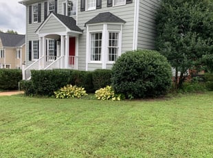 Bush Trimming by Matt Brown for Jennifer M. in Richmond, VA