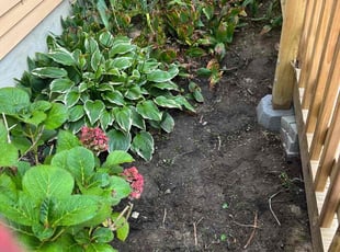 Weeding by Dimas Lopez for Carla C. in Glen Burnie, MD