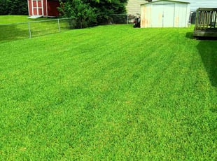 Corinthian C.'s Lawn Mowing service result