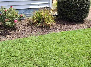 Weeding by Kelvin Gooding for Dan S. in Virginia Beach, VA
