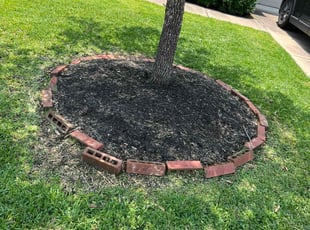 Weeding by Paul Jones for Sumanth P. in Cypress, TX
