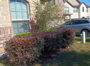 Bush Trimming by Mark Carrizales for Kimberley P. in San Antonio, TX