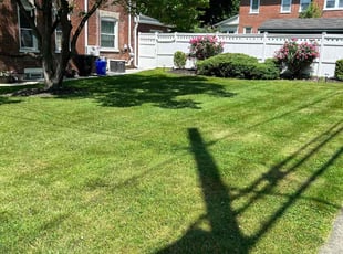 Denise N.'s Lawn Care service result