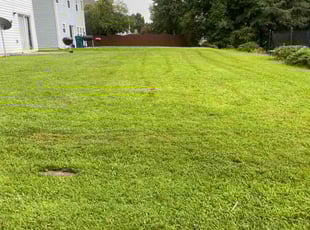 Reginald O.'s Lawn Mowing service result