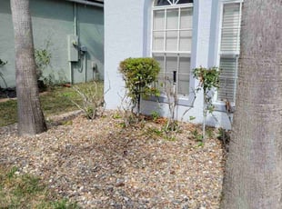 Bush Trimming by Carlos Martinez for Alex s. in Orlando, FL