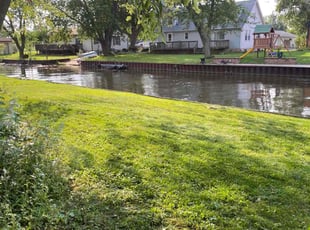 Anthony M.'s Lawn Service service result