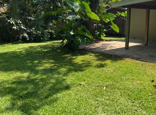Enock O.'s Grass Cutting service result