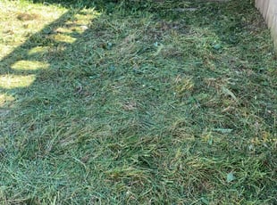 Marleen P.'s Lawn Care service result