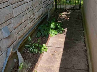 Cleanups by Dontai Jackson for Mary M. in Louisville, KY