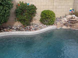 Bush Trimming by Joseph Slay for Frances S. in Peoria, AZ
