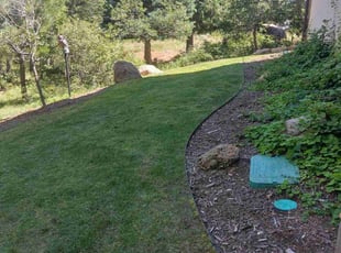 Lori B.'s Lawn Care service result