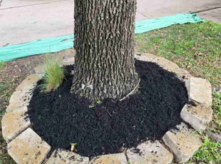 Landscaping by Briana Rivera for Matthew F. in Katy, TX