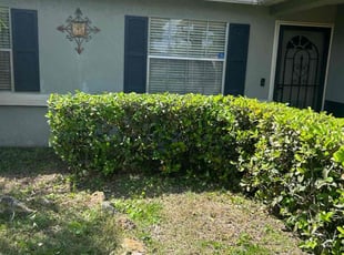 Bush Trimming by Quinton Davis for Joseph W. in Kissimmee, FL
