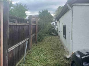 Weeding by Jessie Martinez for Xeon S. in Denver, CO