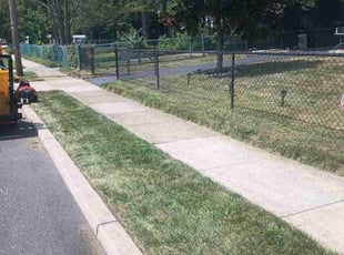 Robert B.'s Yard Cutting service result