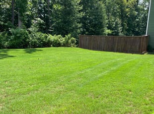 Amy B.'s Lawn Service service result