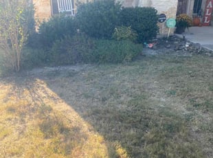 Weeding by Bradley Matthiesen for Danielle E. in Boerne, TX