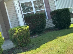 Bush Trimming by Casey Morgan for Charisee F. in Holly Springs, NC