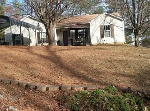 Leaf Removal by Michael Denson for DyAnne D. in Cumming, GA