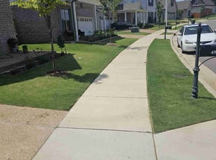 Denny O.'s Yard Cutting service result