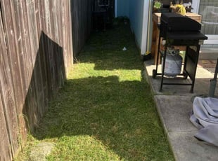 Curtis M.'s Lawn Maintenance service result