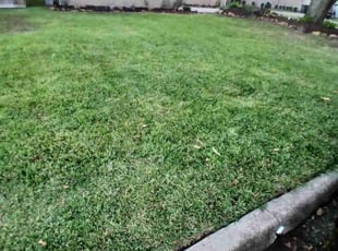 Debby J.'s Yard Cutting service result
