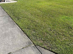 Jennifer G.'s Grass Cutting service result
