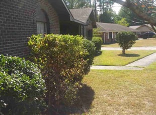 Bush Trimming by Johnny Hall for James J. in Jackson, MS
