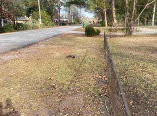 Cleanups by Michael Scipio for Amelia C. in Columbia, SC