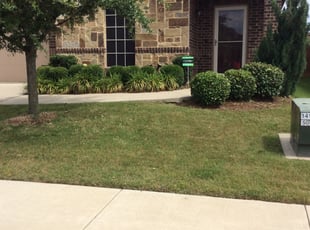 Bush Trimming by James Sullivan for Brenna S. in Arlington, TX