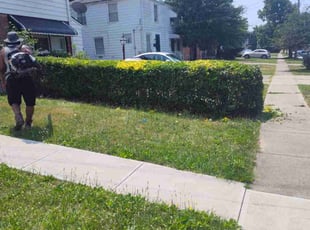 Bush Trimming by Rayshawn Martin for Sunceria H. in Euclid, OH
