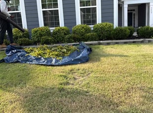 Bush Trimming by Claude Batts for TJ B. in Concord, NC