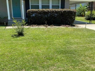 Leaf Removal by Robert Worley for Jaclyn R. in Mount Pleasant, SC