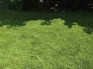 James C.'s Lawn Service service result