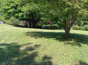 Richard V.'s Yard Cutting service result