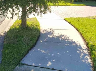 Pamela W.'s Lawn Service service result