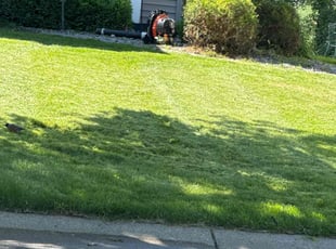 Amie J.'s Yard Cutting service result