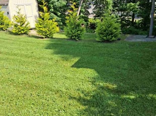 Cleanups by Keith Bogan for Rita J. in Seymour, CT
