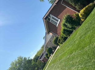 Felisha M.'s Lawn Care service result