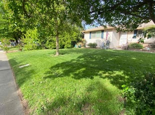 Jennifer H.'s Lawn Mowing service result