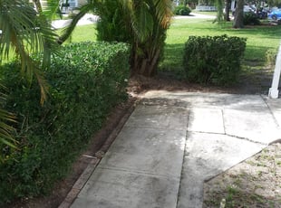 Bush Trimming by Faith Karst for Joey W. in Boynton Beach, FL