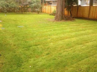 Margaret F.'s Yard Cutting service result