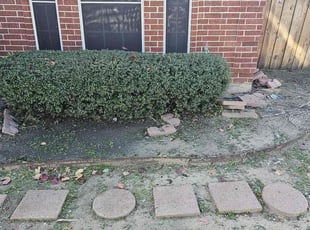 Bush Trimming by Basil Metani for Dennis W. in Arlington, TX