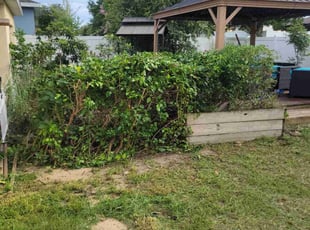 Bush Trimming by Carlos Martinez for Paul G. in Haines City, FL