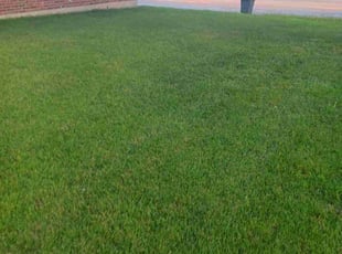 Mindy M.'s Yard Cutting service result