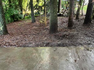 Leaf Removal by Nelson Portillo for Kim B. in Stone Mountain, GA