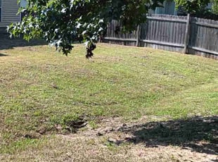 Clifton N.'s Lawn Service service result