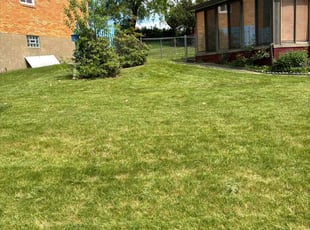 Grace J.'s Lawn Care service result