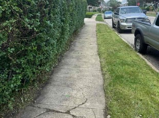 Bush Trimming by Norberto Soto for Jason J. in Philadelphia, PA