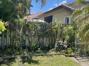 Bush Trimming by Andrew Deal for Robert M. in Miami, FL
